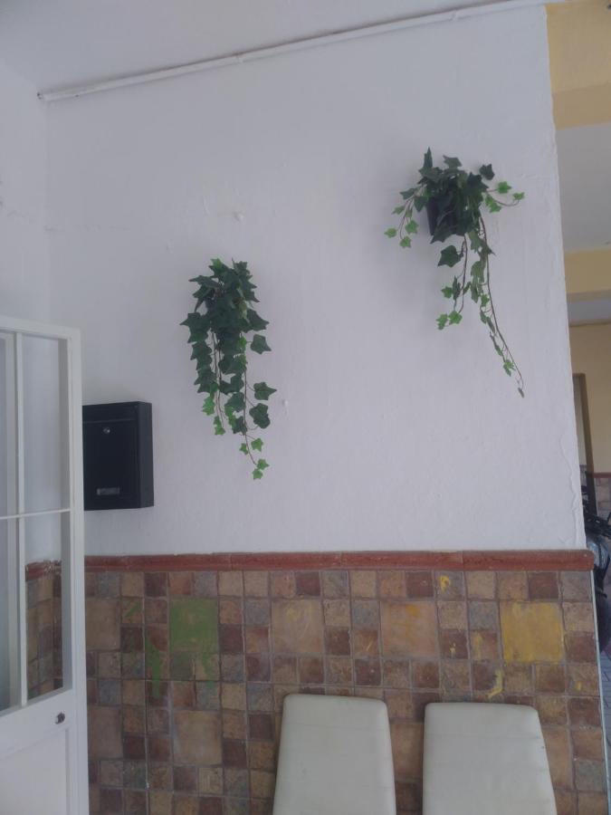Precioso Apartamento Moderno Cerca Del Carrefour Rosaleda Málaga Kültér fotó